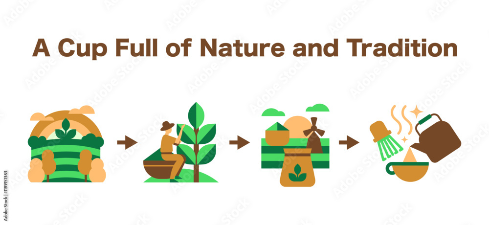 Fototapeta premium Matcha Process Infographic. Eco-Friendly Story, Harvesting, Grinding, and Brewing