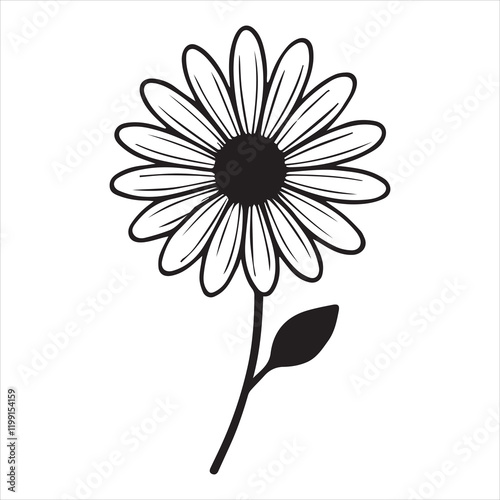 Daisy Flower Vector Illustration for Graphic Use
