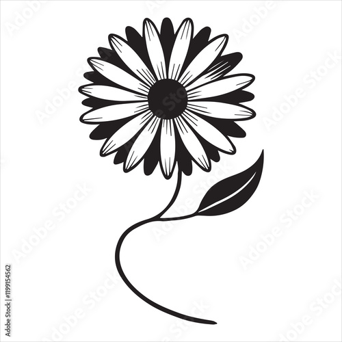 Common Daisy Plant Clipart for Nature Designs
