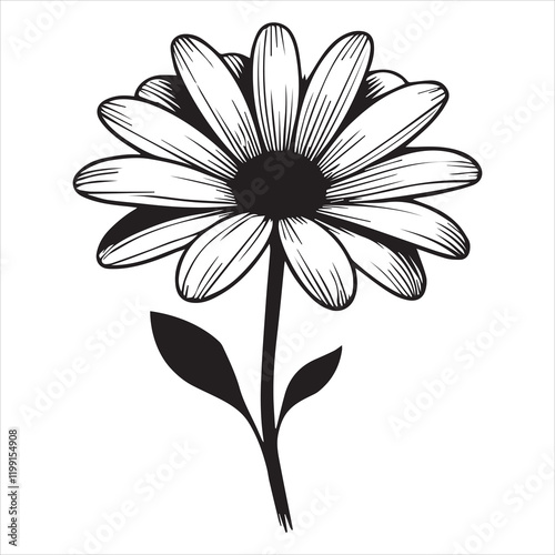 Detailed Daisy Flower Vector Artwork for Creatives
