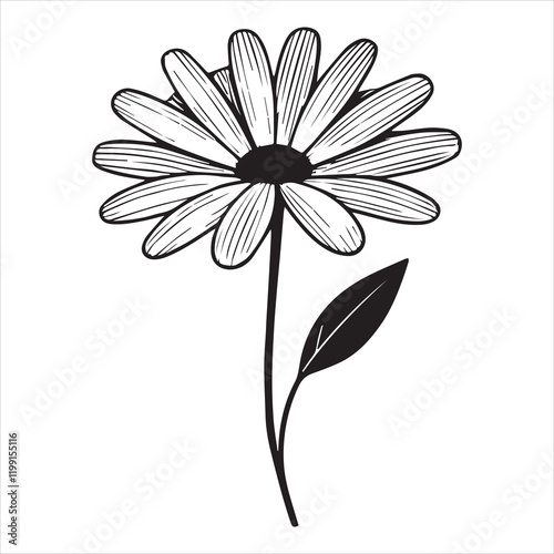 Detailed Daisy Flower Vector Artwork for Creatives
