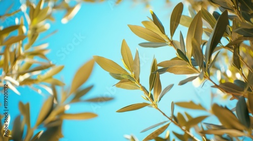 A sunlit scene featuring a vibrant green olive tree with lush leaves against a bright blue sky, evoking a sense of peace and connection to nature.