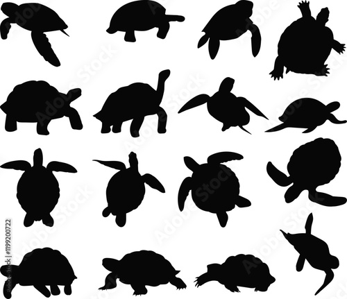 turtles in different poses silhouette set vector