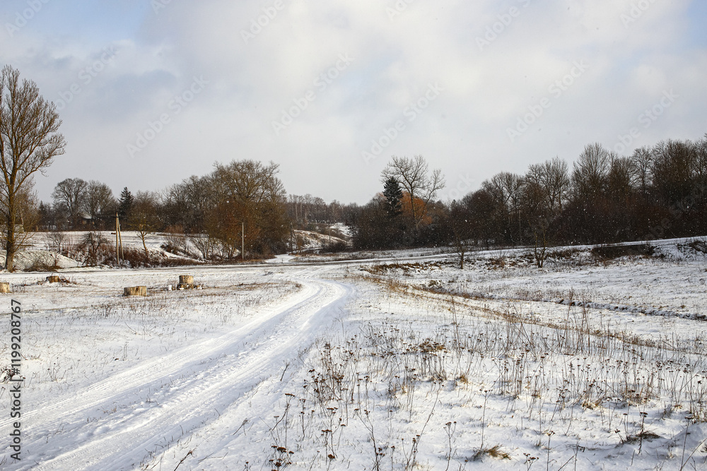 Fototapeta premium Winter rural landscape. Winter road and trees covered with snow. Beautiful view of a small village in western Ukraine.