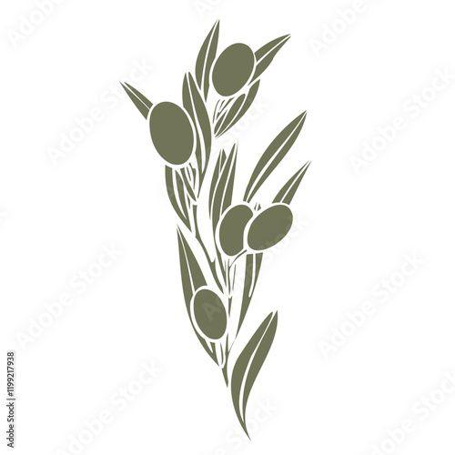 Wallpaper Mural Hand drawn olive branch vector illustration with linear silhouette with fruits and leaves in olive green color. Minimalistic composition. elegant botanical elements for logo, packaging, textiles, menu Torontodigital.ca