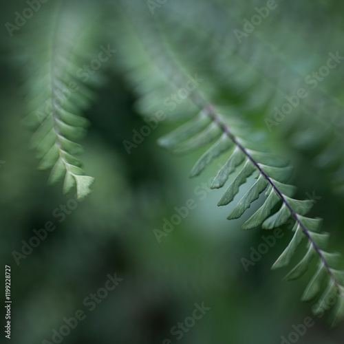 green background with fern leaves