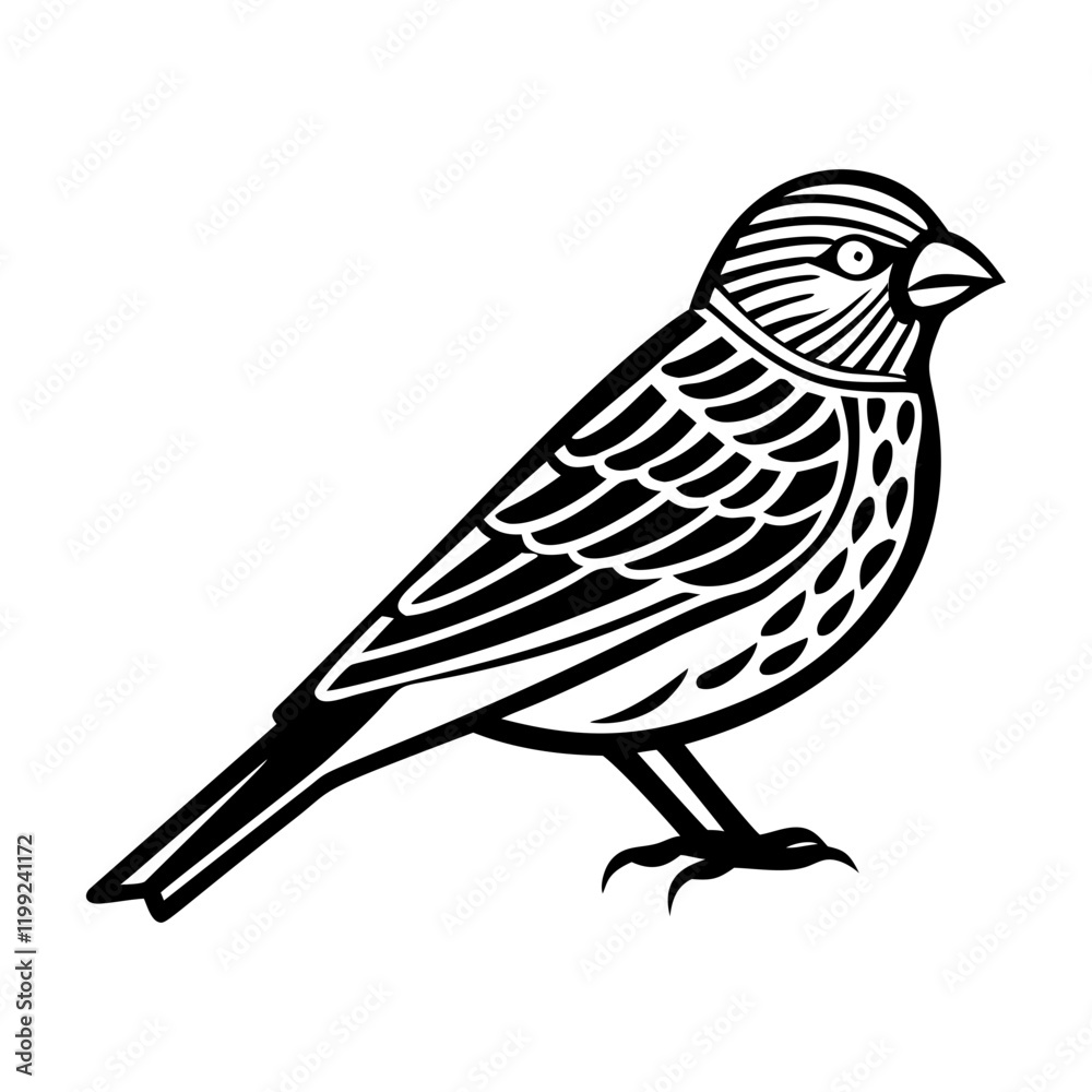 Obraz premium A solid icon of house finch