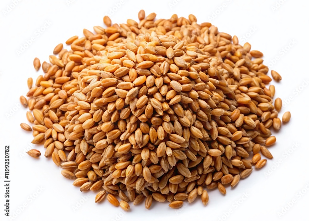 Spelt Wheat Heap - Conceptual Photography AI Art Spelt Wheat Heap - Conceptual Photography AI Art