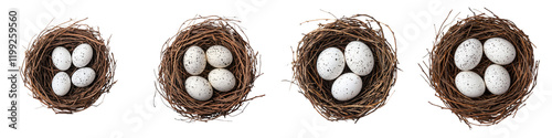 Four bird nests with white eggs against a brown woven twig background photo