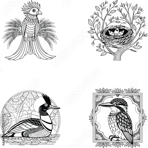 Bundle of Bird Aviary Vintage Illustrations

