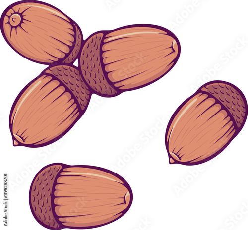 Set of acorns. Collection oak tree nut with a cap close-up. Brown autumn design element. Simple vector color illustration in hand drawn style isolated on white.