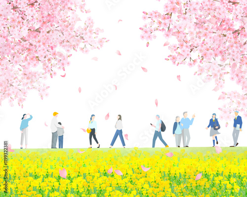 桜の木と菜の花の咲く土手沿いを歩く様々な人々ー全身ー春ー人物ベクターイラスト白バック背景素材