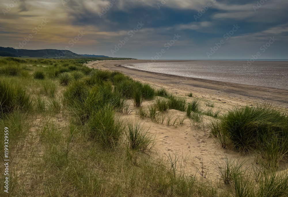 Sand Dunes on Whiteford Beach near Llanmadoc, The Gower Peninsula, South Wales, G.B. Sand Dunes on Whiteford Beach near Llanmadoc, The Gower Peninsula, South Wales, G.B.