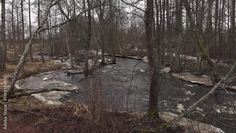 Flooded river in spring with a high current Flooded river in spring with a high current