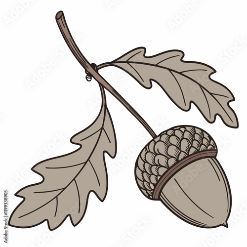 acorn cap with a tiny hole 