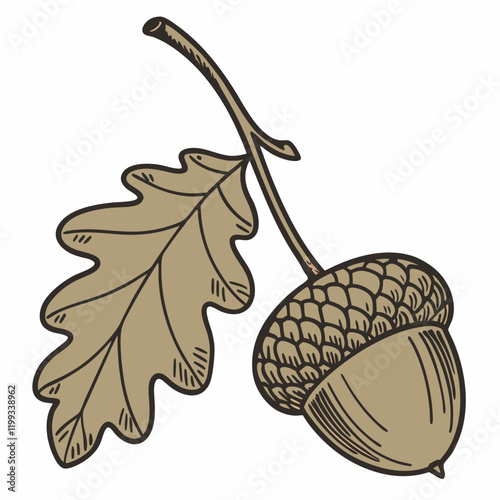 acorn cap with a tiny hole 