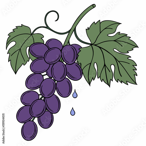 bunch of grapes