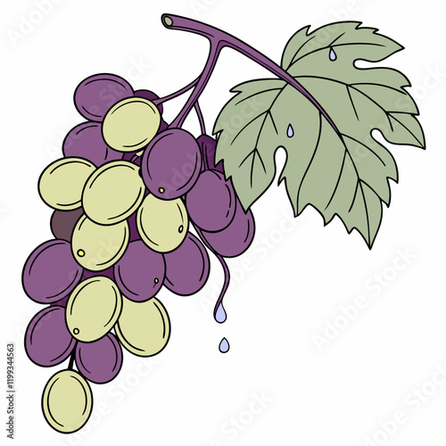 bunch of grapes