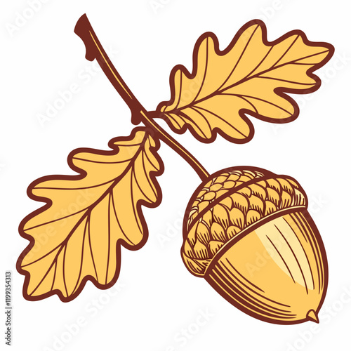 golden acorn