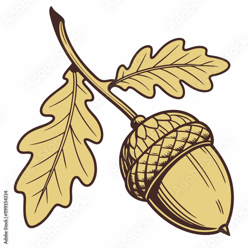 golden acorn