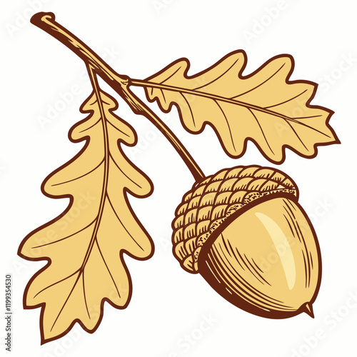 golden acorn