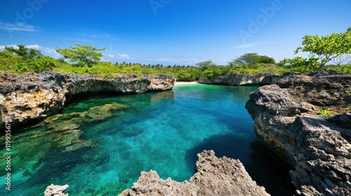 Secluded Tropical Cove
