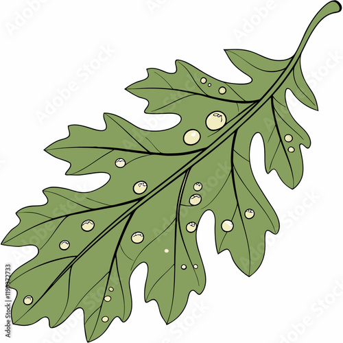 oak leaf with morning dew
