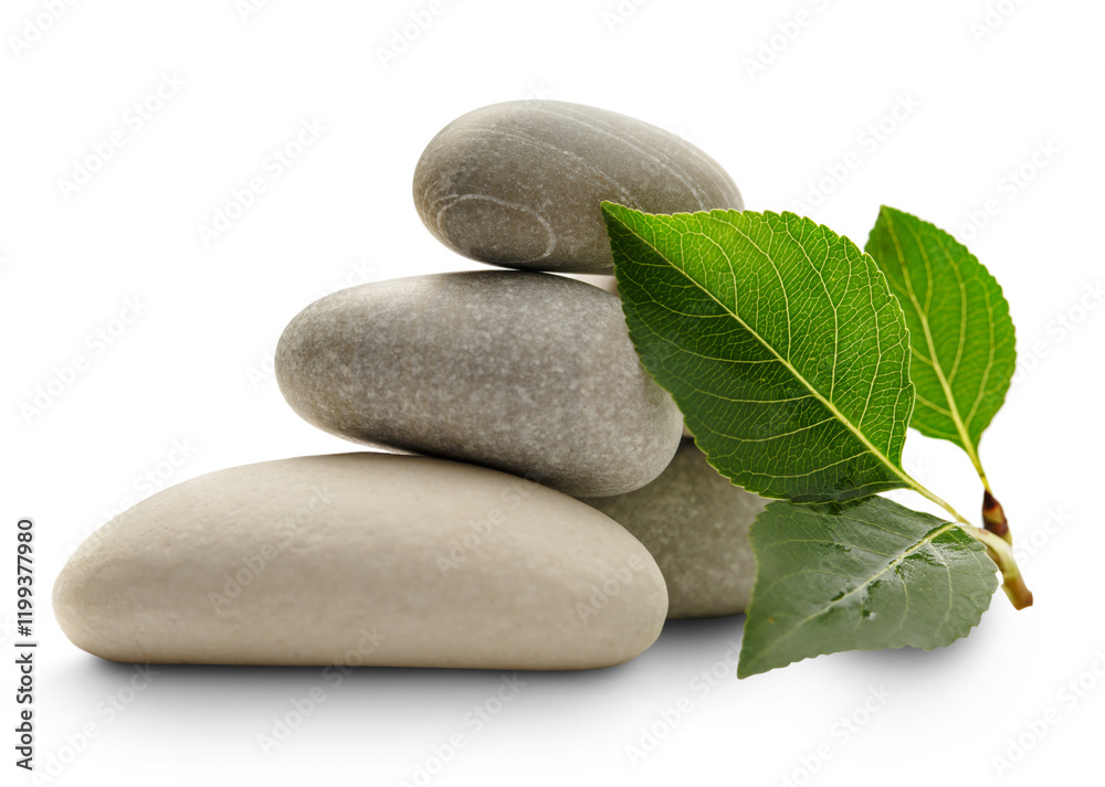 Fototapeta premium Stones with leaves