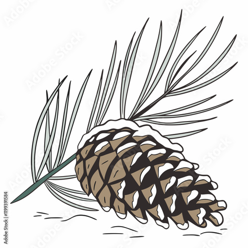 pinecone dusted with snow