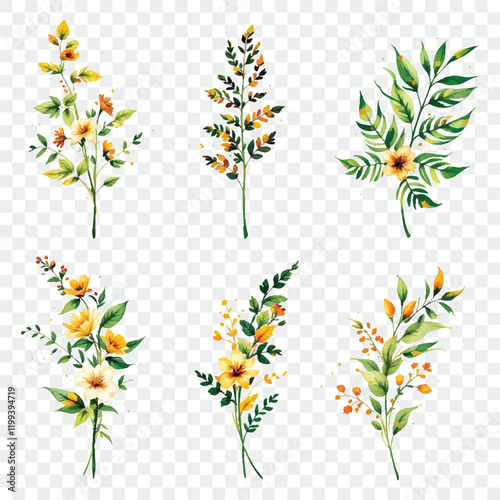 Watercolor vector plants flowers isolated on transparent background. Floristic elements