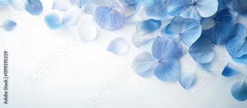Delicate Blue Flower Petals Gently Cascading on Soft White Background with Empty Space for Text and Design Elements