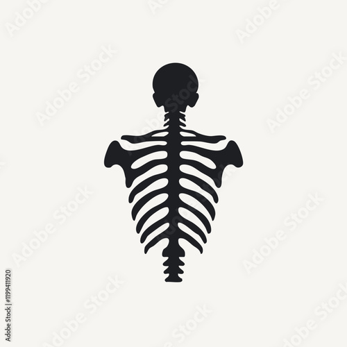 Upper Body Skeletal Structure Vector Illustration. Vector Image