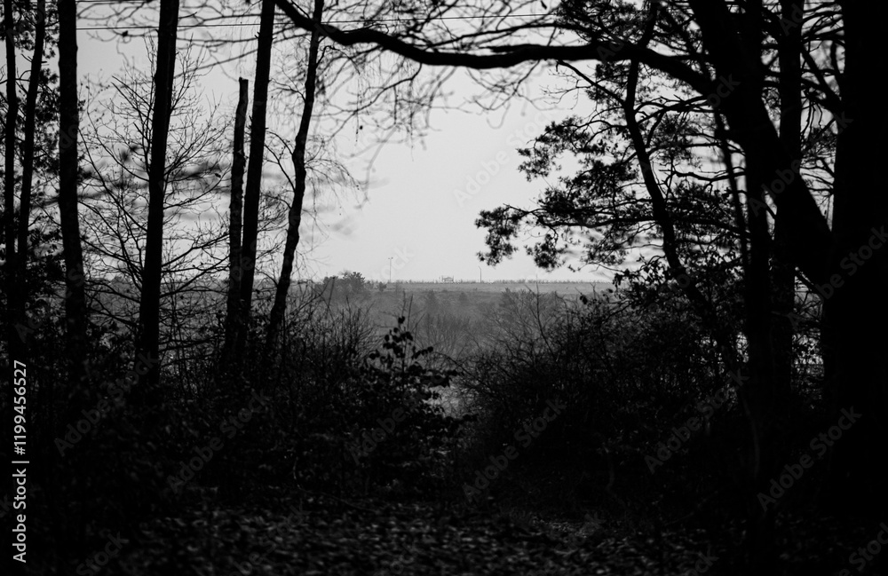 Fototapeta premium black and whitelanscape