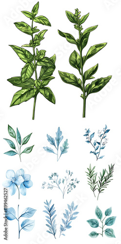 Wallpaper Mural Artistic botanical illustrations of various green and blue plants nature digital art studio creativity Torontodigital.ca