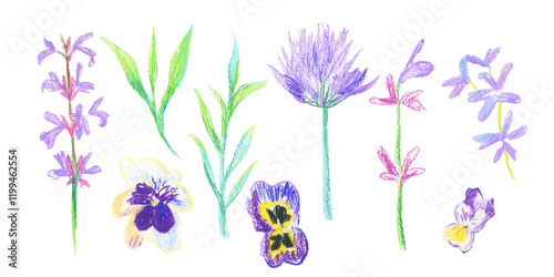 Clip art purple flowers drawn with wax crayons on white isolated background. Children's botanical collection of oil pastel illustrations. Designs for greeting cards, stickers, social media, posters.