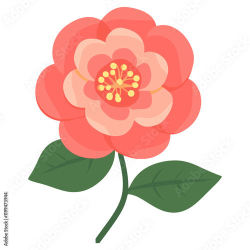 Camellia flower illustration blossom vector