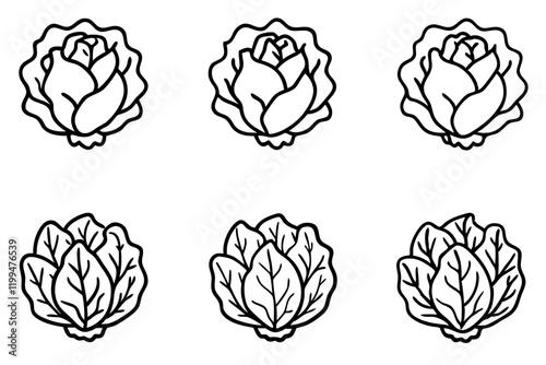 Lettuce Line Art Vector Bundle