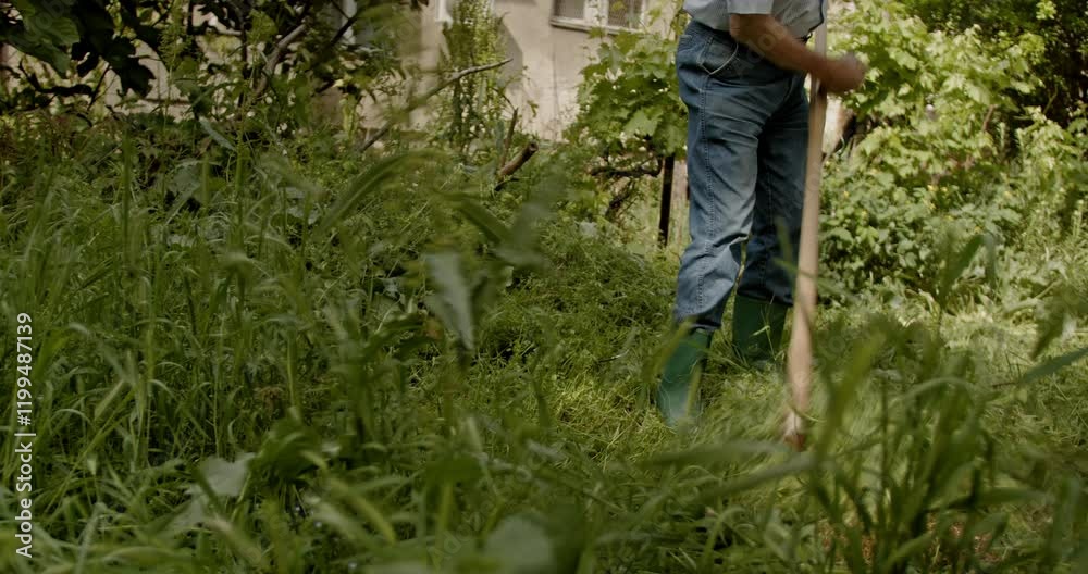 A senior man is cutting grass in his garden using a scythe. He's wearing a light shirt, jeans, and green rubber boots. The garden looks overgrown, giving an impression of hard work. A senior man is cutting grass in his garden using a scythe. He's wearing a light shirt, jeans, and green rubber boots. The garden looks overgrown, giving an impression of hard work.