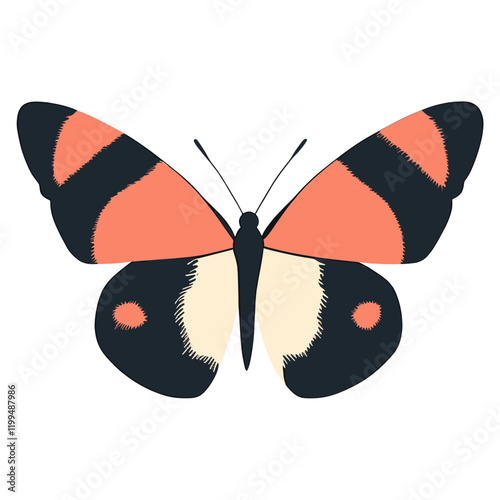 Butterfly illustration insect vector