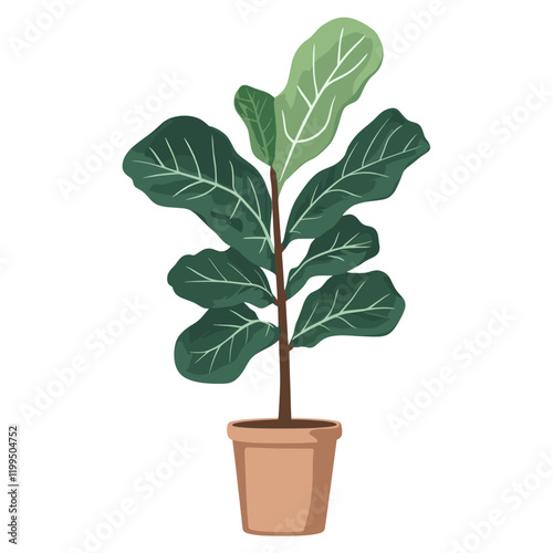 Fiddle-leaf fig illustration fiddle plant vector