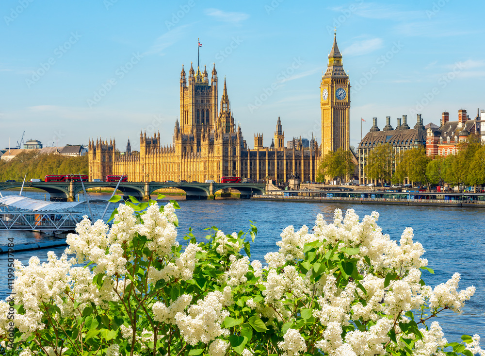 Big Ben tower and Houses of Parliament in spring, London, UK