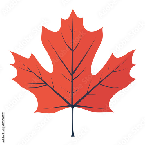 Red maple leaf illustration simple autumn vector