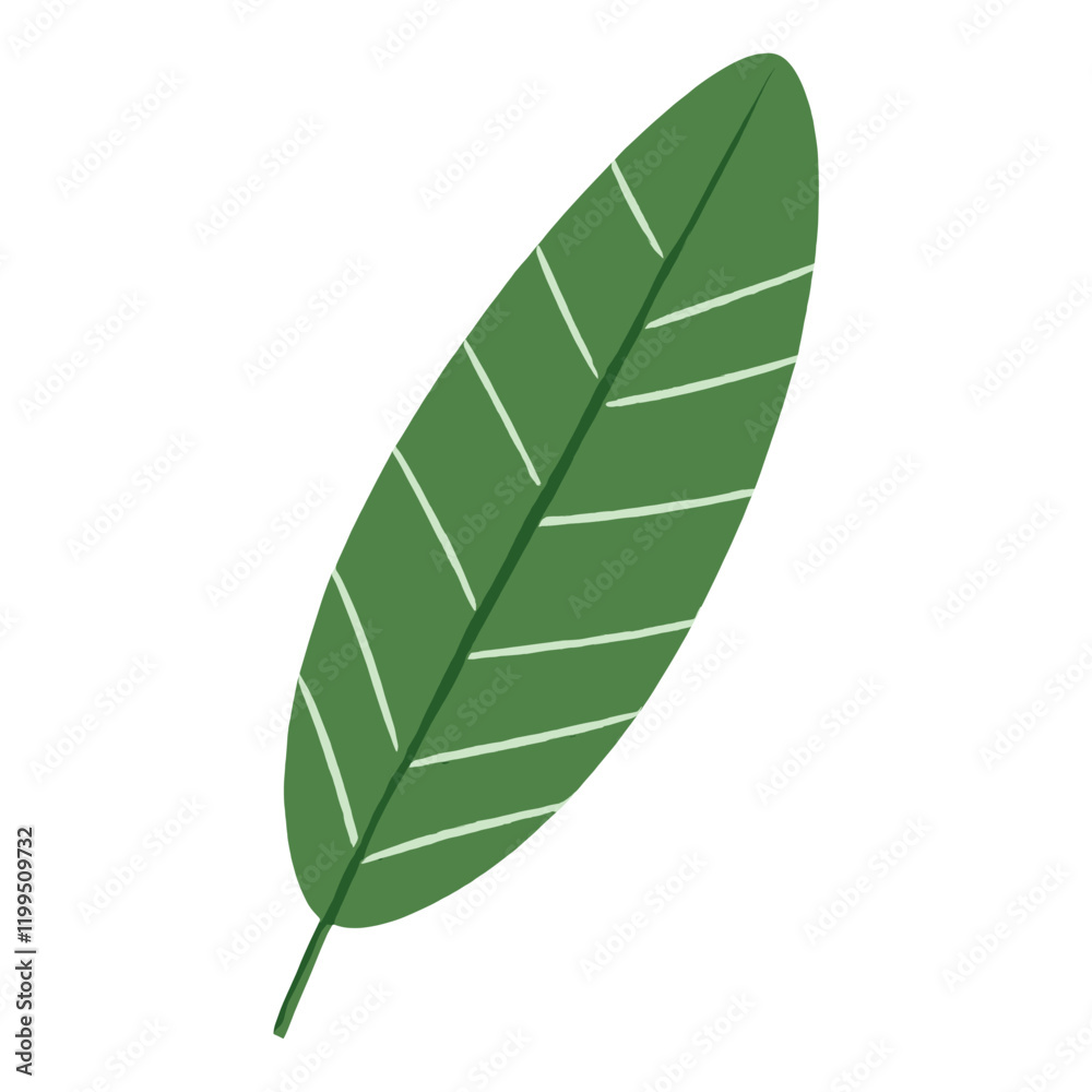 Obraz premium Spring leaves leaf illustration design vector