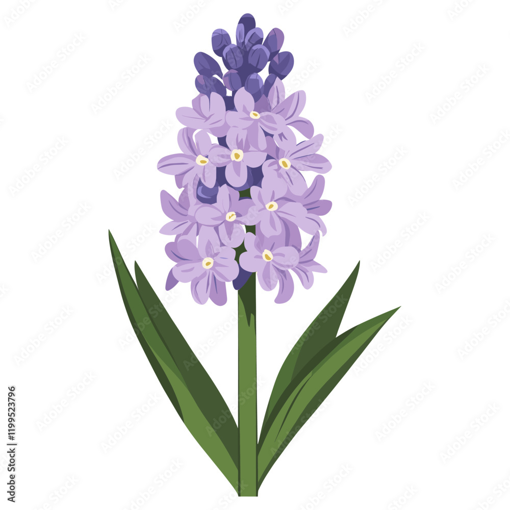 Fototapeta premium Lilac flower lilac illustration vector