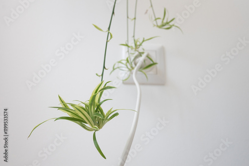 CONCEPT: Green energy