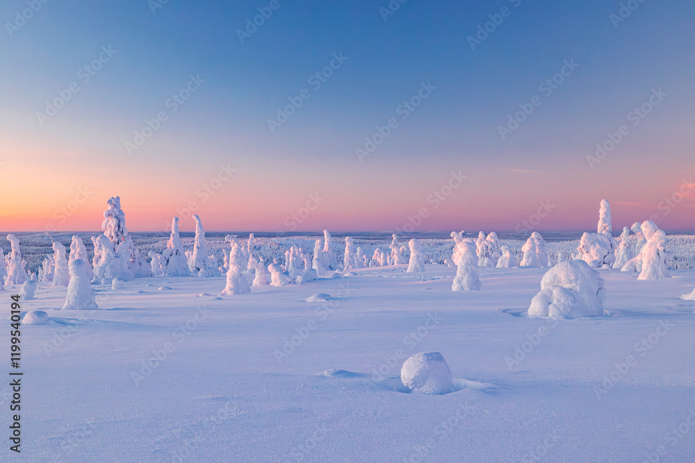 winter landscape snow
