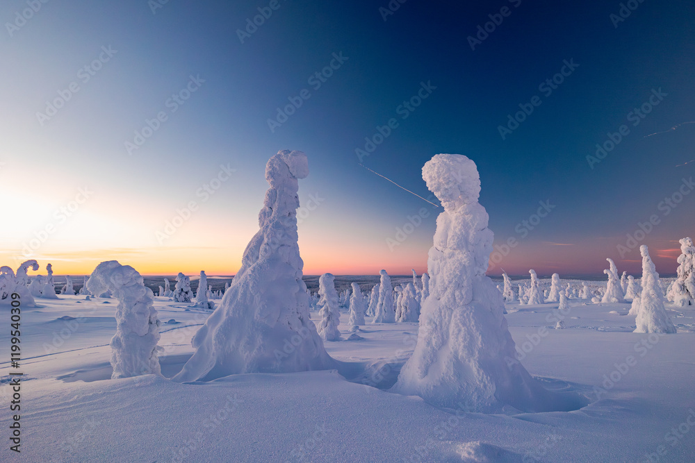winter landscape at sunset