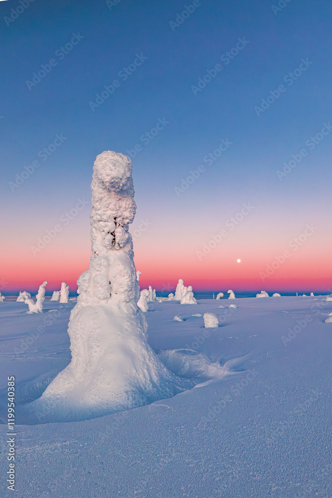 landscape with snow