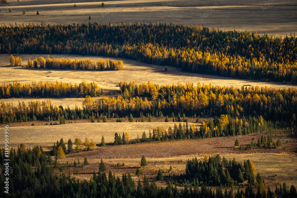 Φωτογραφία Autumn unfolds in scenic beauty with golden forests, expansive meadows, and serene vistas