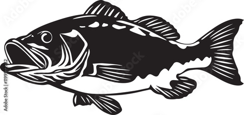 illustration of bass fish